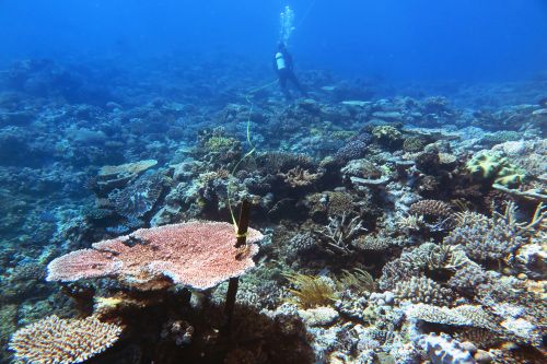 Austrália: Zmena klímy je najväčšia hrozba pre Veľký bariérový útes