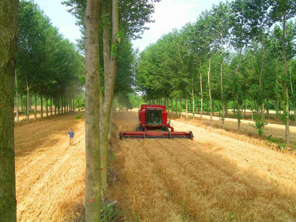 Trnava: Agrolesníctvo je budúcnosť